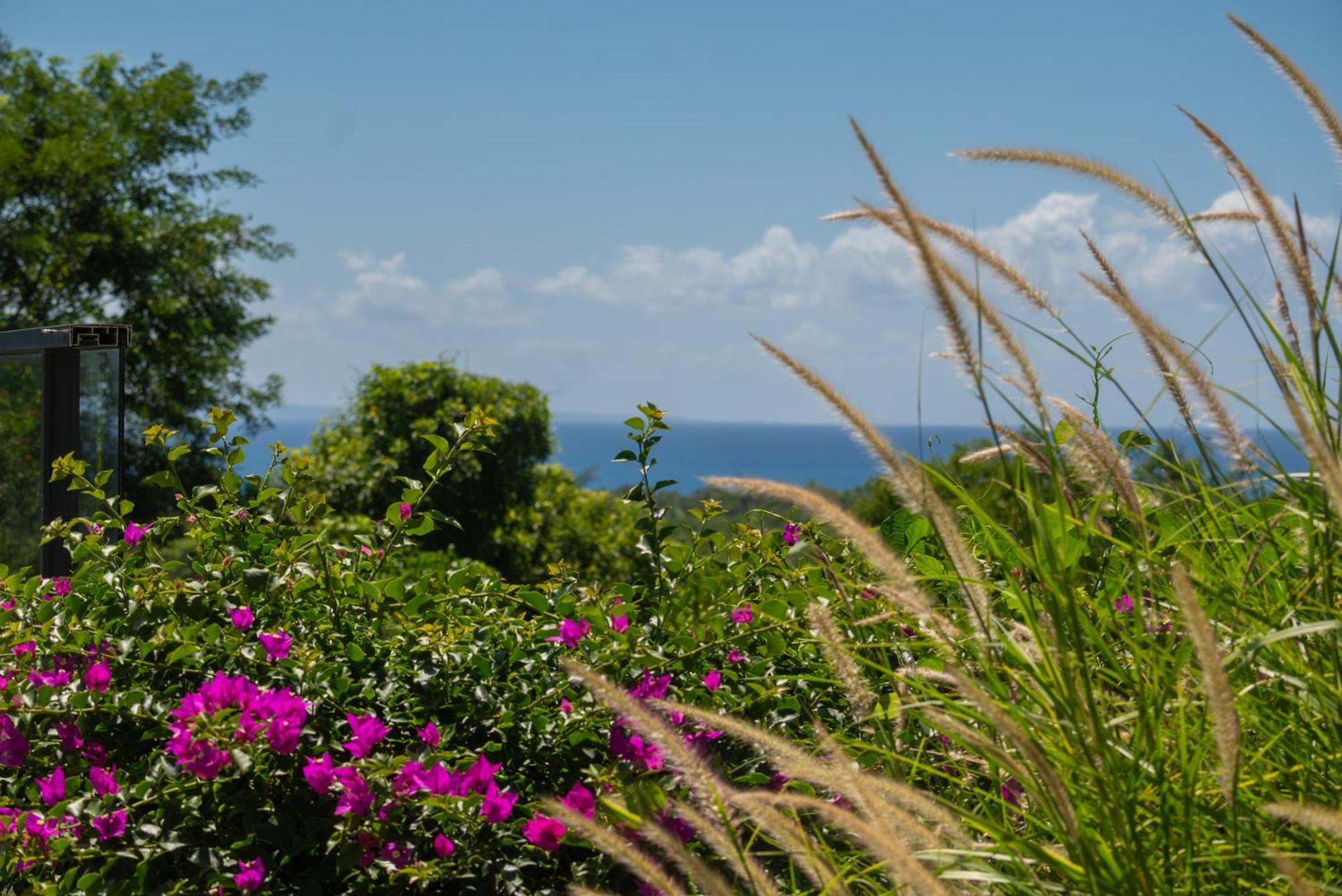 Villa Tropic & Chic Sainte-Anne  Exterior foto
